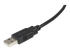 StarTech.com 6 ft. (1.8 m) USB Printer Cable - Close-up