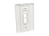 Eaton Tripp Lite Series Single-Gang 2-Port Wall Plate Keystone Cat5/Cat6 USB HDMI Dport RCA - Rug