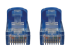 Eaton Tripp Lite Series Cat6a 10G Snagless Molded UTP Ethernet Cable (RJ45 M/M), PoE, Blue, 6 ft. (1.8 m) - Close-up