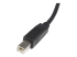 StarTech.com 6 ft. (1.8 m) USB Printer Cable - Close-up