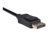 StarTech.com DisplayPort naar HDMI Video Adapter Converter - Close-up