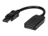 StarTech.com DisplayPort naar HDMI Video Adapter Converter - Rug